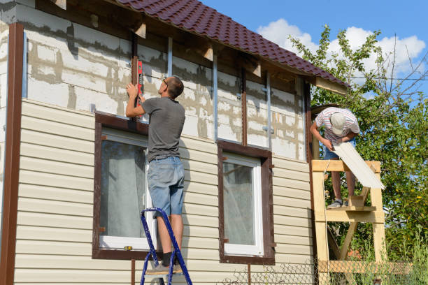 Affordable Siding Repair and Maintenance Services in Lone Star, TX